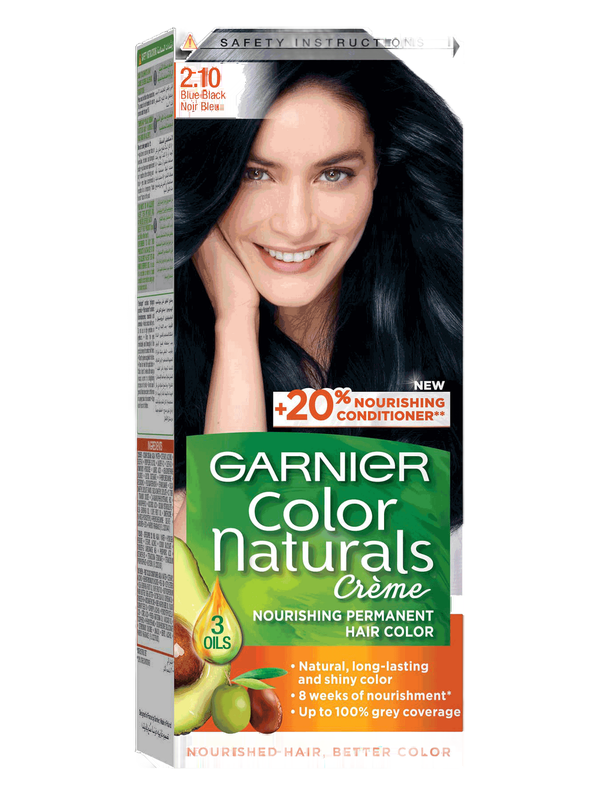 Garnier Color Naturals Hair Dye 2.1 Blue Black