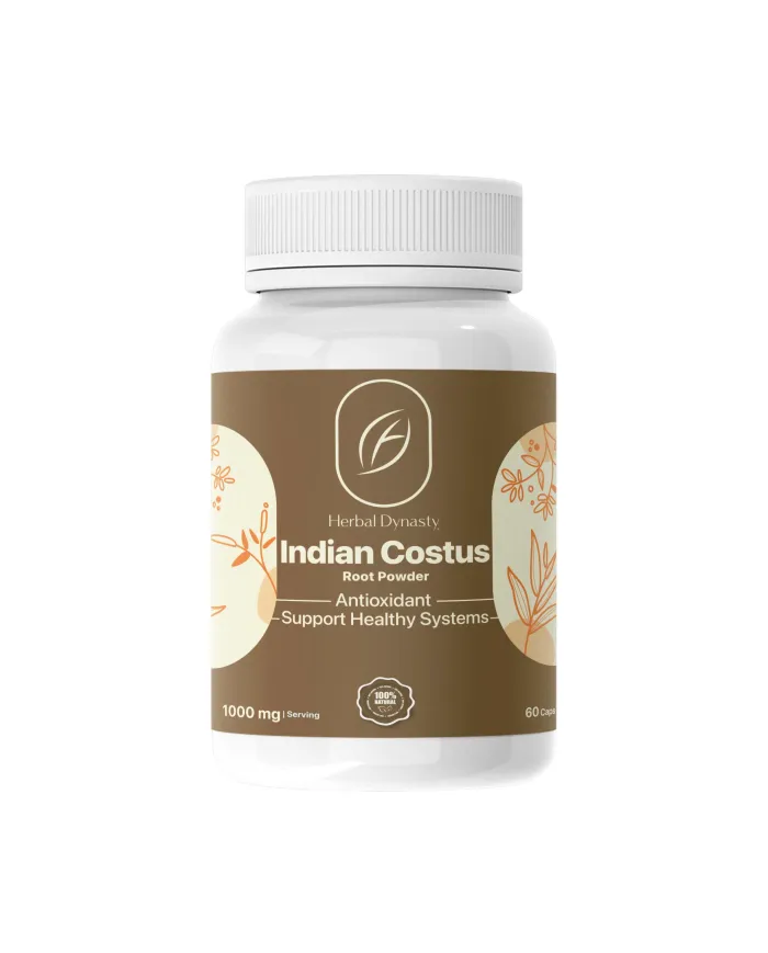 Herbal Dynasty Indian Costus 60 capsules
