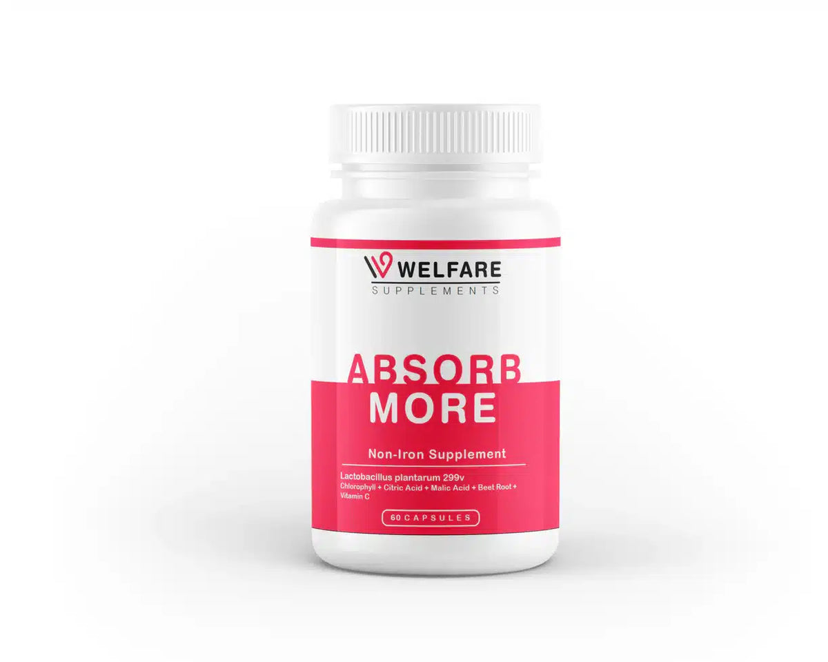 Welfare Absorb More 60 Capsules